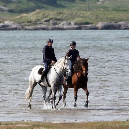 Harbour Front Apartment
